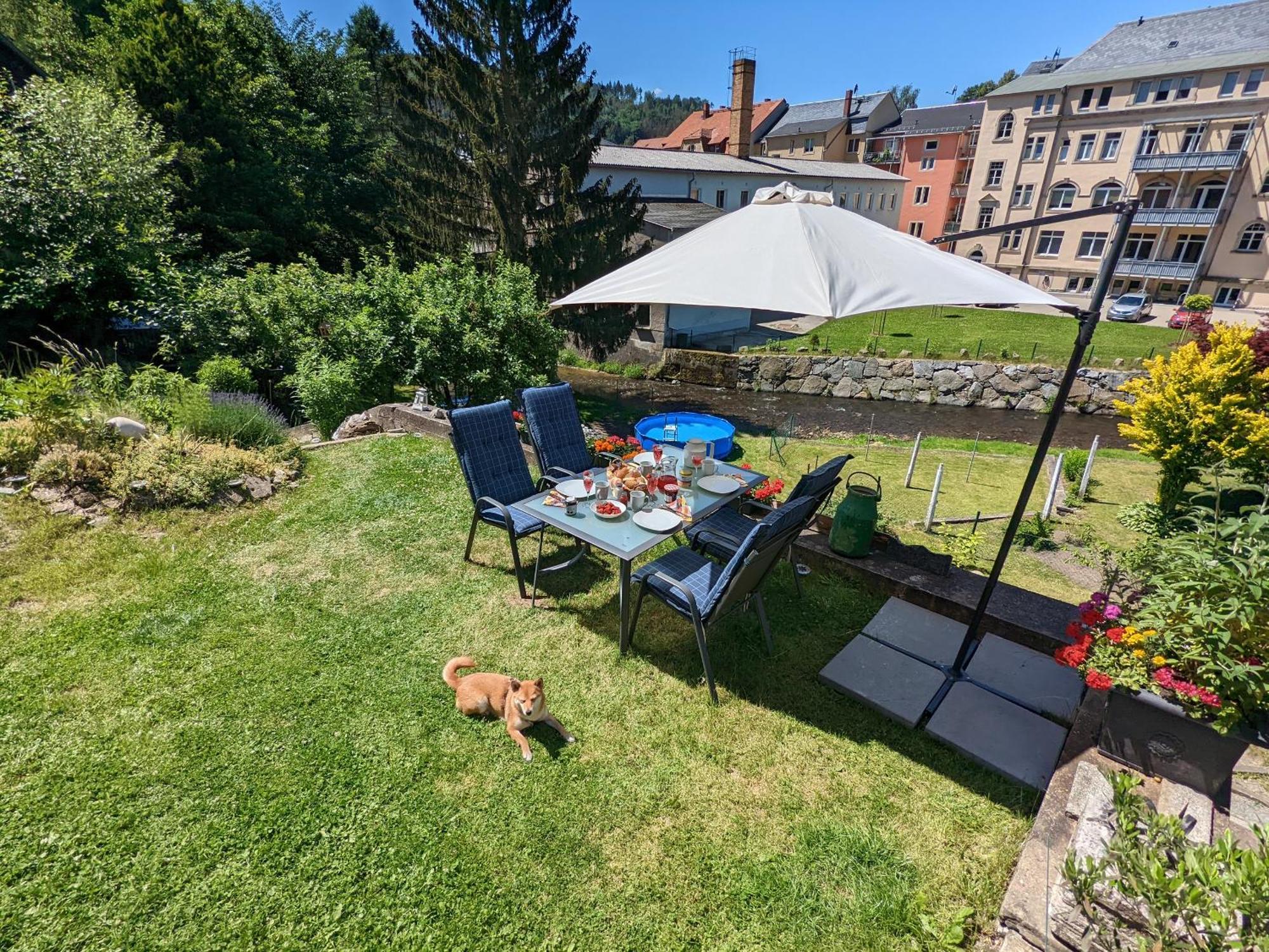 F1 - Urlaubsmagie - Helle Wohnung Mit Sauna & Pool & Whirlpool Sebnitz Exterior foto