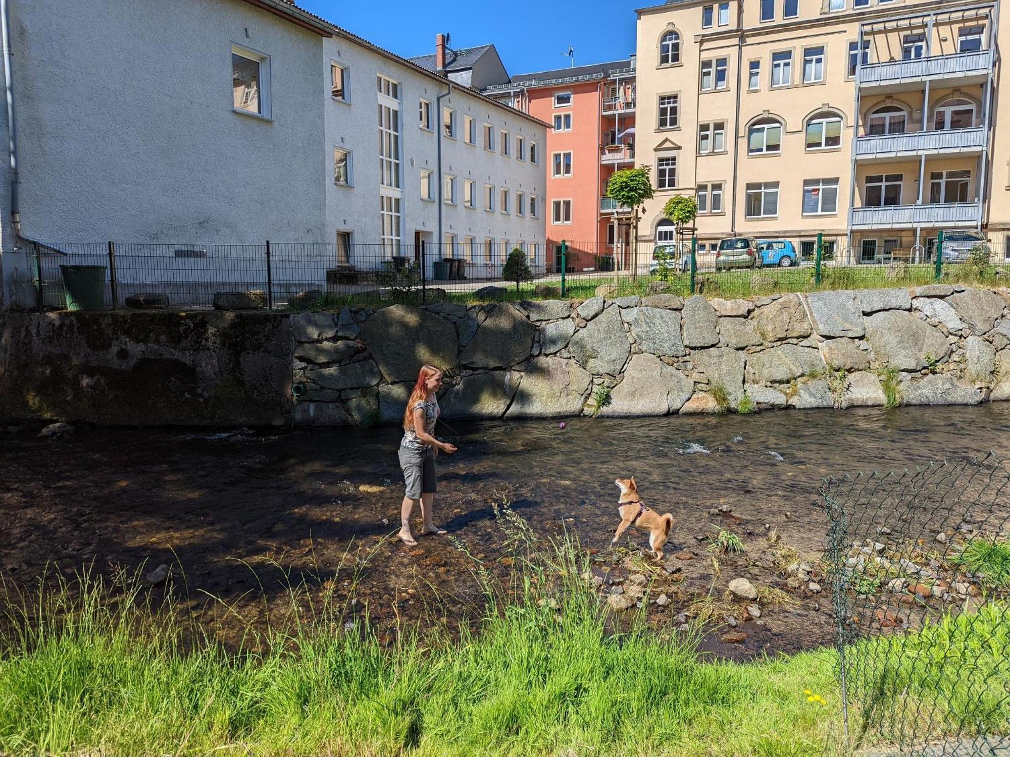 F1 - Urlaubsmagie - Helle Wohnung Mit Sauna & Pool & Whirlpool Sebnitz Exterior foto