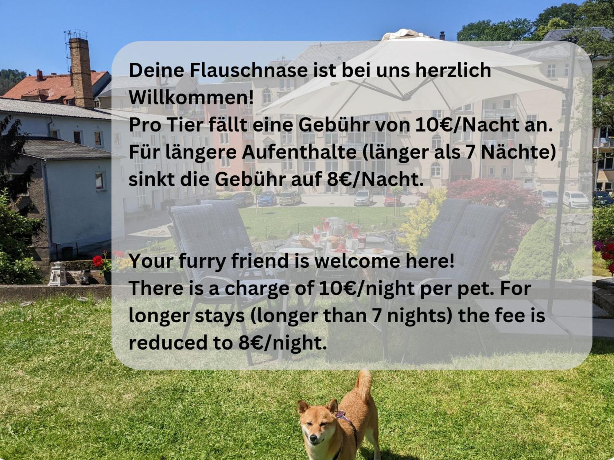 F1 - Urlaubsmagie - Helle Wohnung Mit Sauna & Pool & Whirlpool Sebnitz Exterior foto